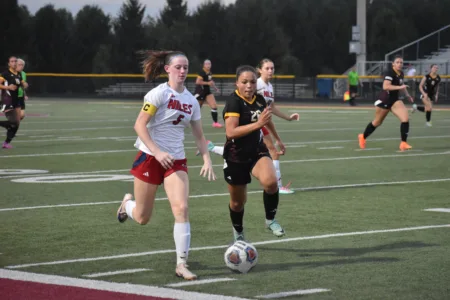 Niles takes down South Range, 8-0, in league contest